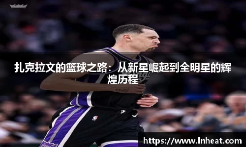 星空·综合体育官方网站